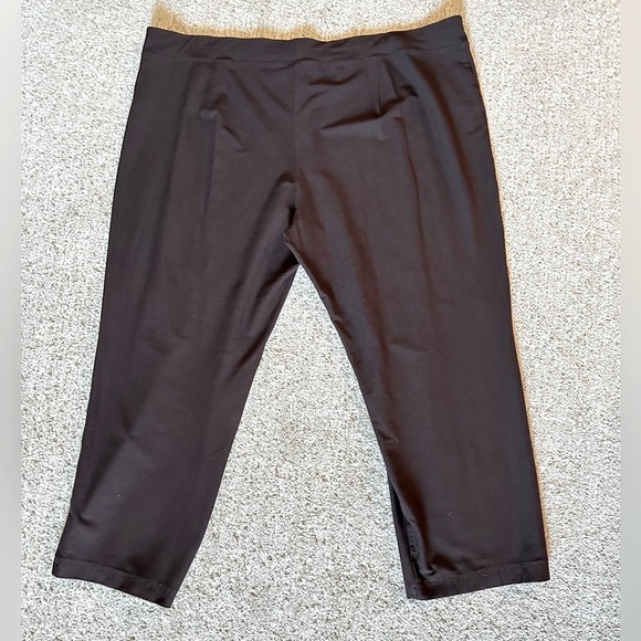 EILEEN FISHER KNIT Brown elastic waist coastal grandma stetch ankle pants 2X - Picture 2 of 11